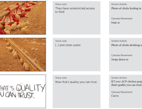 Storyboards: Alberta Chicken Producers